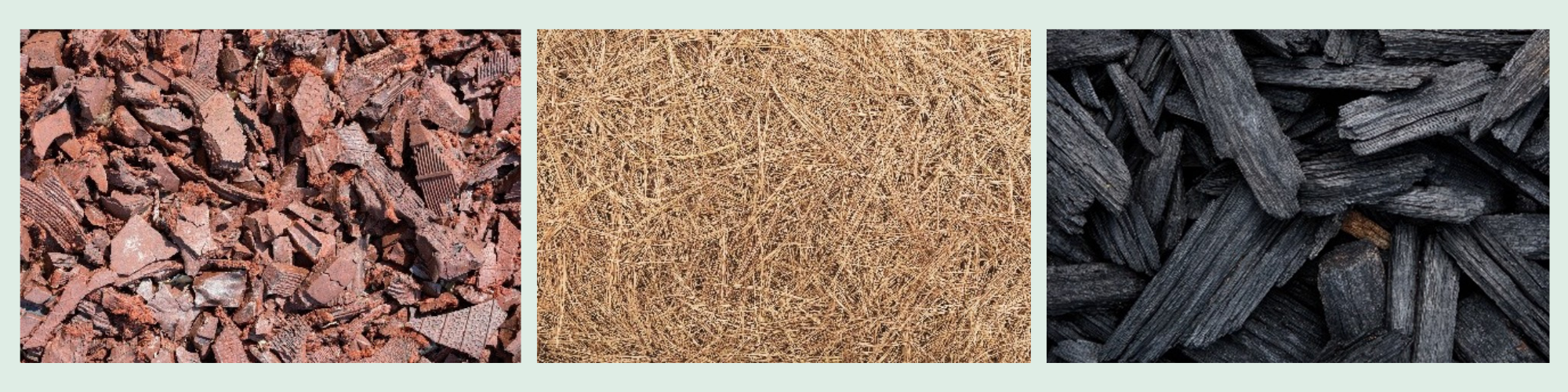 Examples of prohibited mulches: rubber mulch, pine straw and dyed mulch