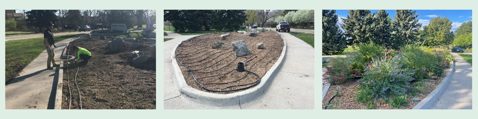Low drip irrigation system in Admiral Burke Park