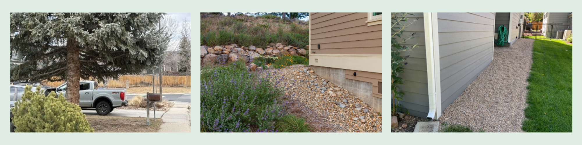 Examples of limbed up trees and noncombustible zones