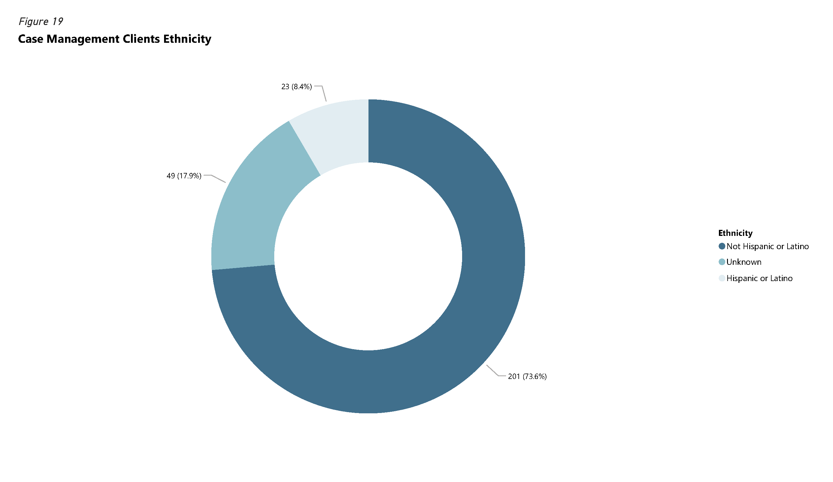 Pie chart of Case Management Clients Ethnicity