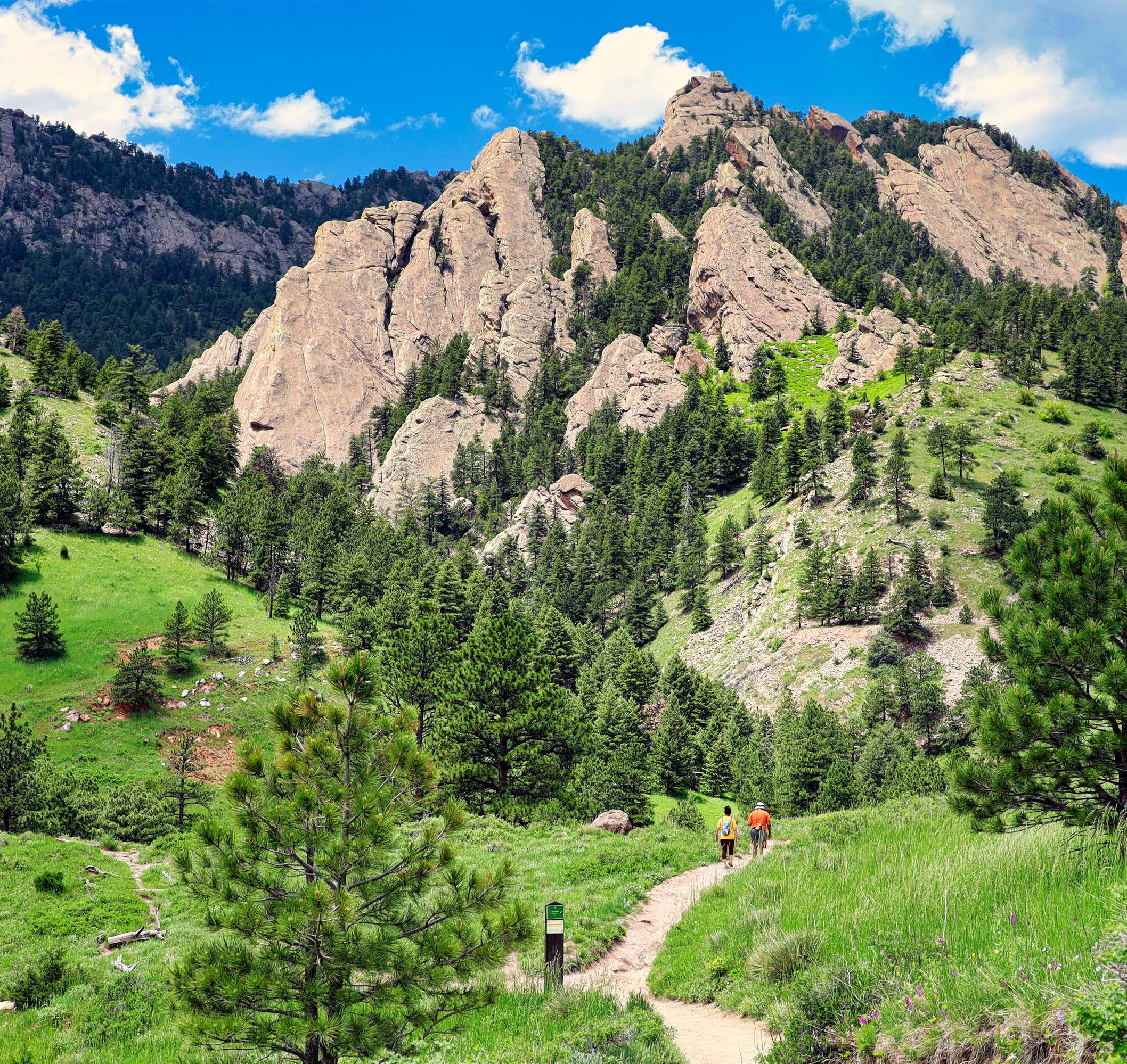 Boulder landscape with lush greenery and a hiking trail on a bright day.