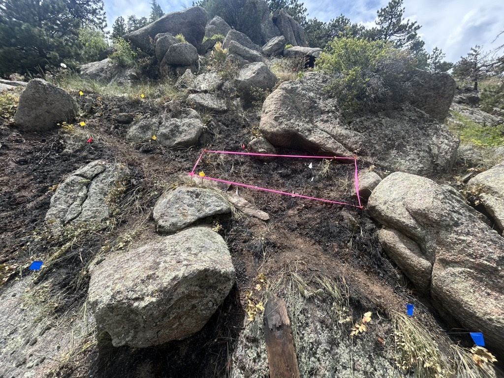 Burned ground in a boulder field with pink investigation tape.