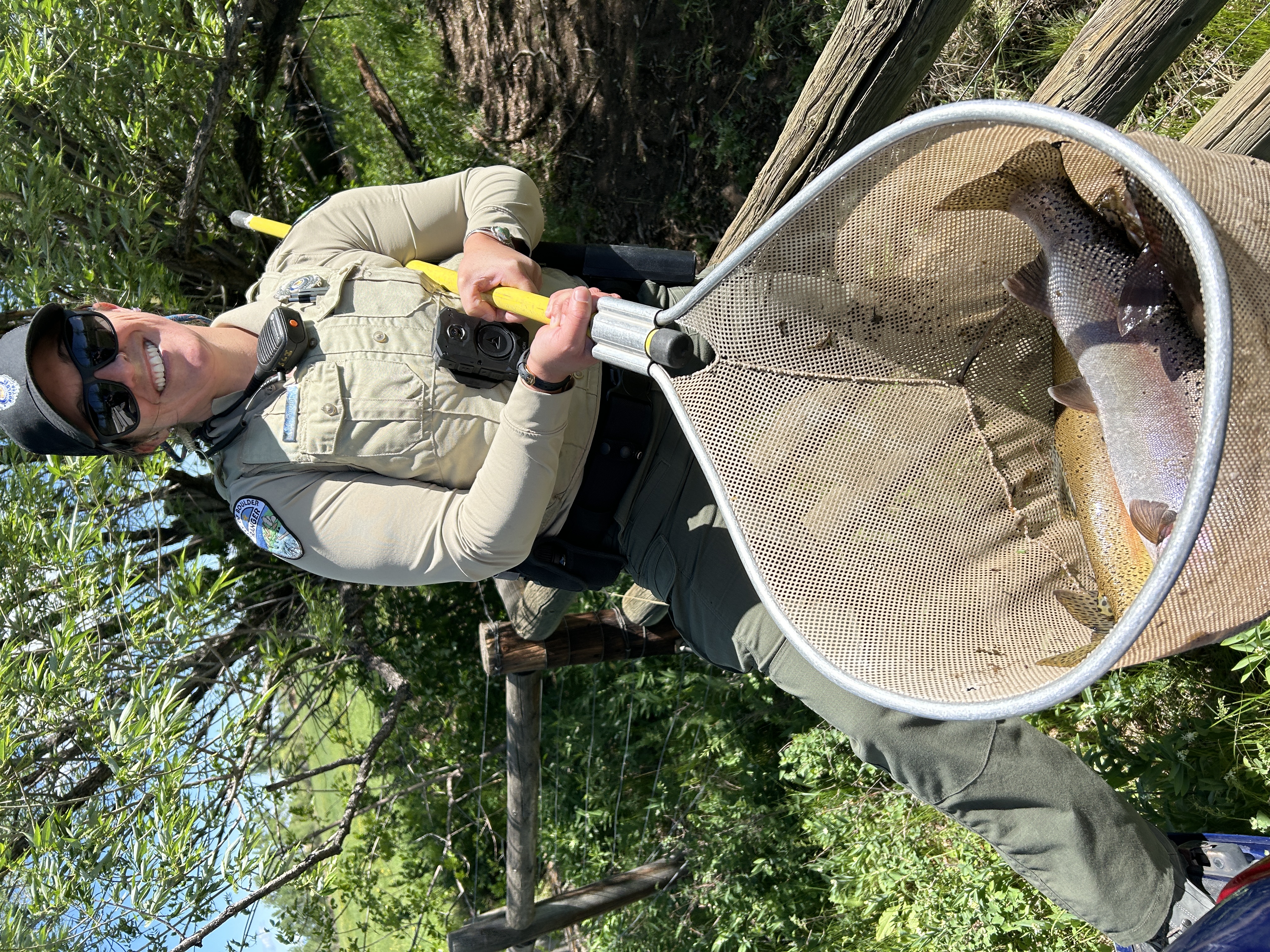 Ranger holding net full of fish for relocating.