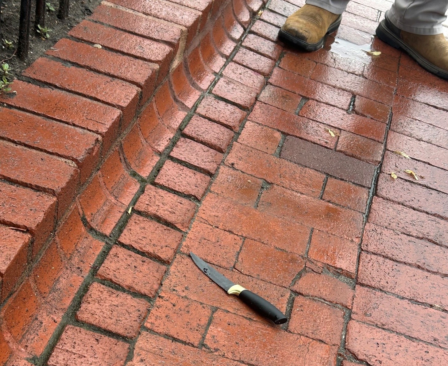 Photo of Suspect Knife