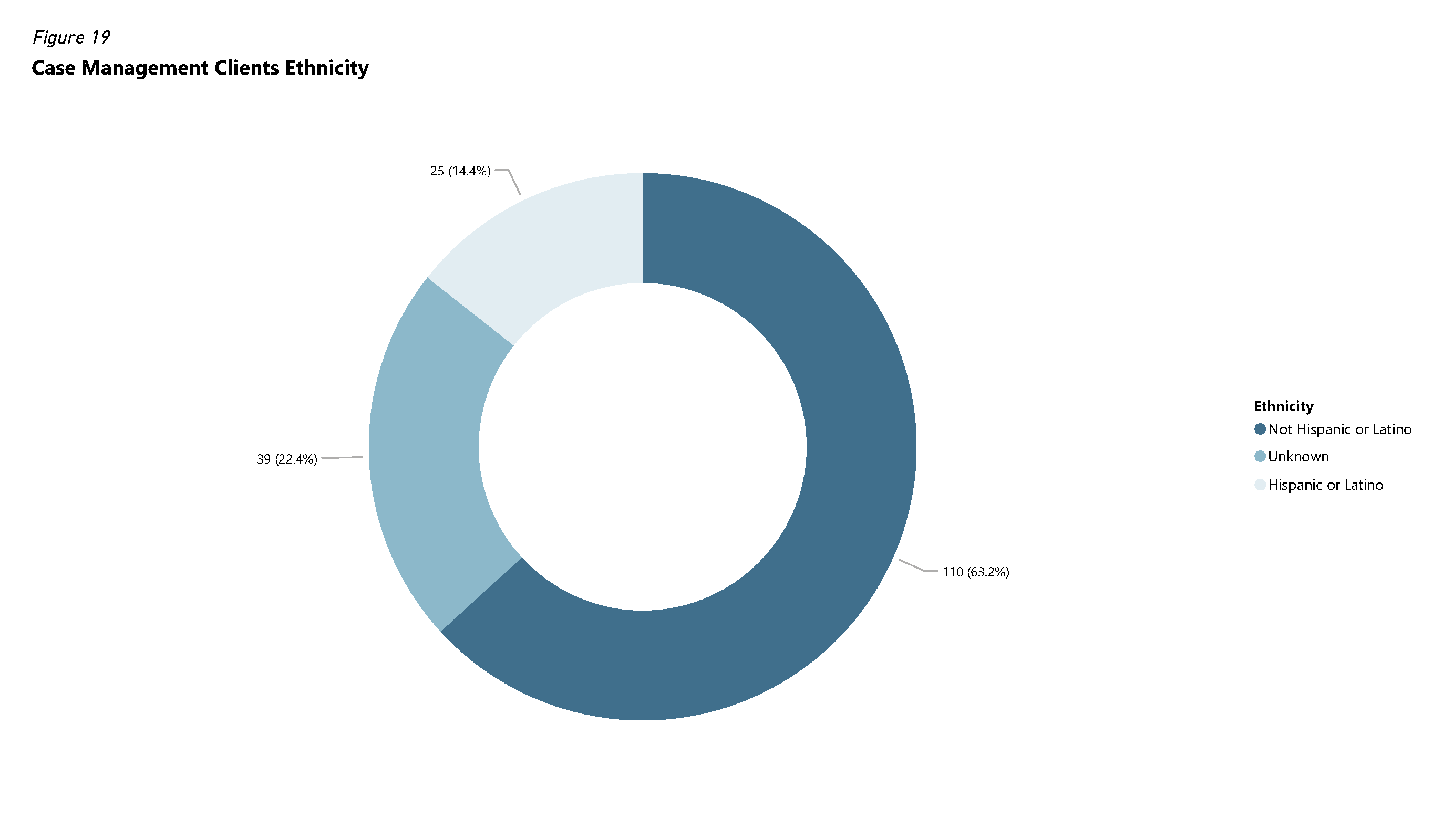 Figure 19 - Case Management Clients Ethnicity
