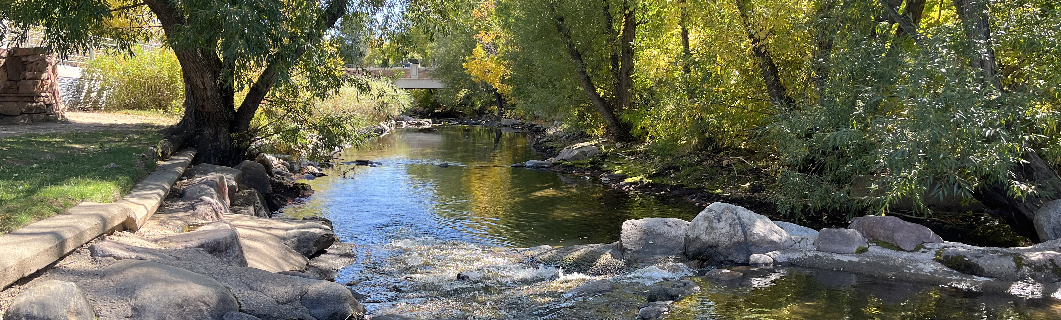A creek with trees and greenery on either side.