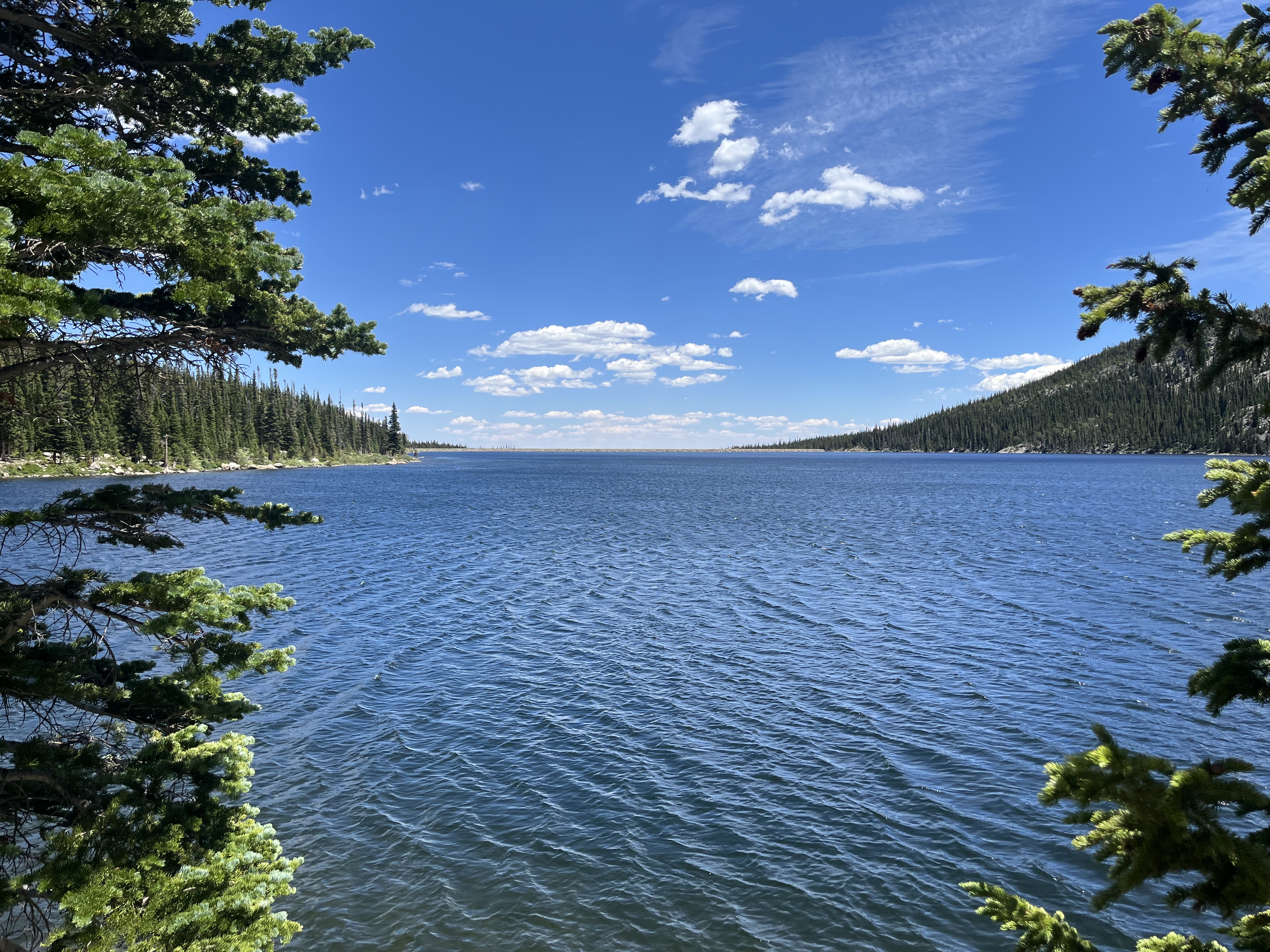 A lake with trees around it. 