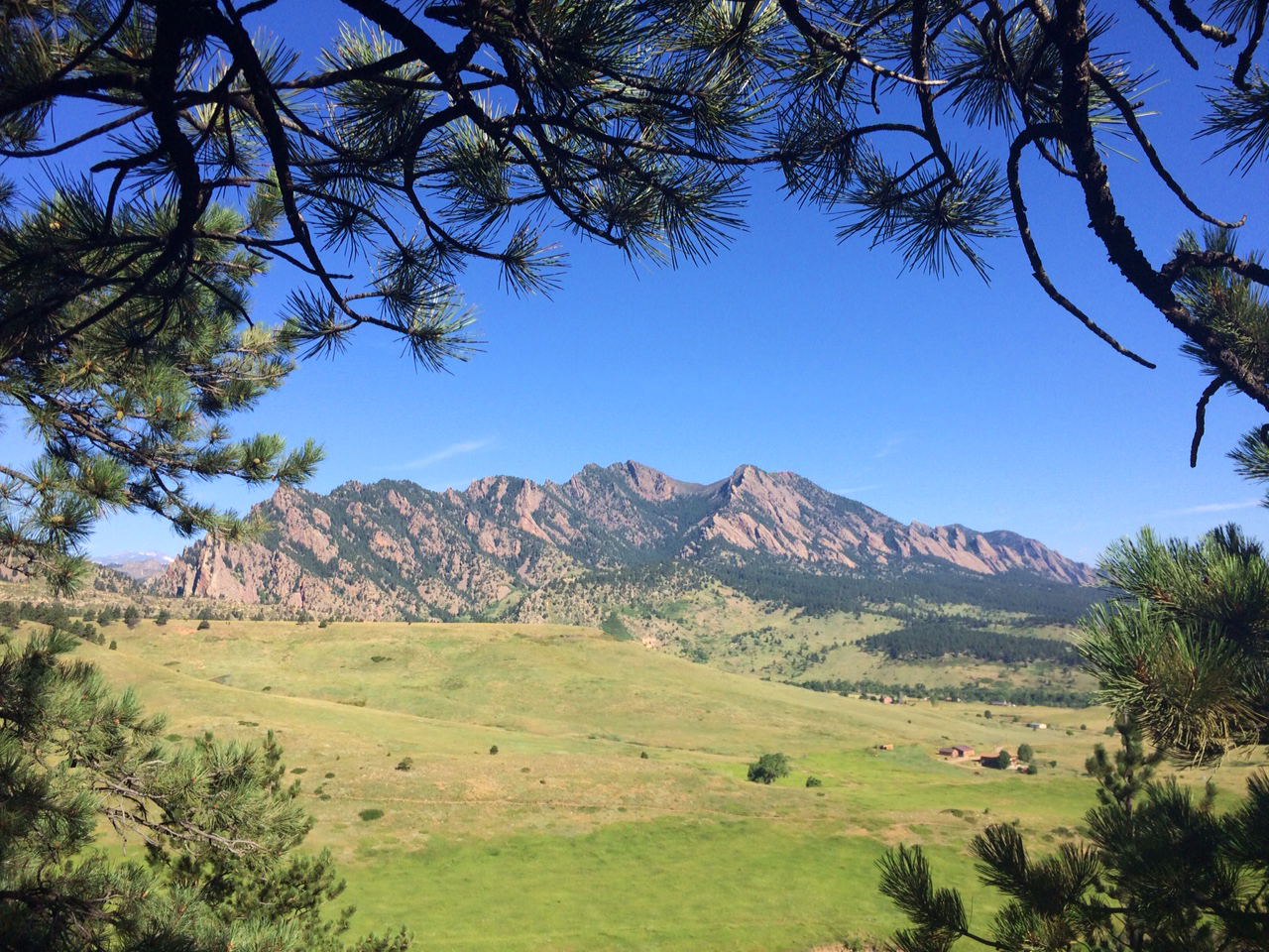 View of mountains with fields in front. 