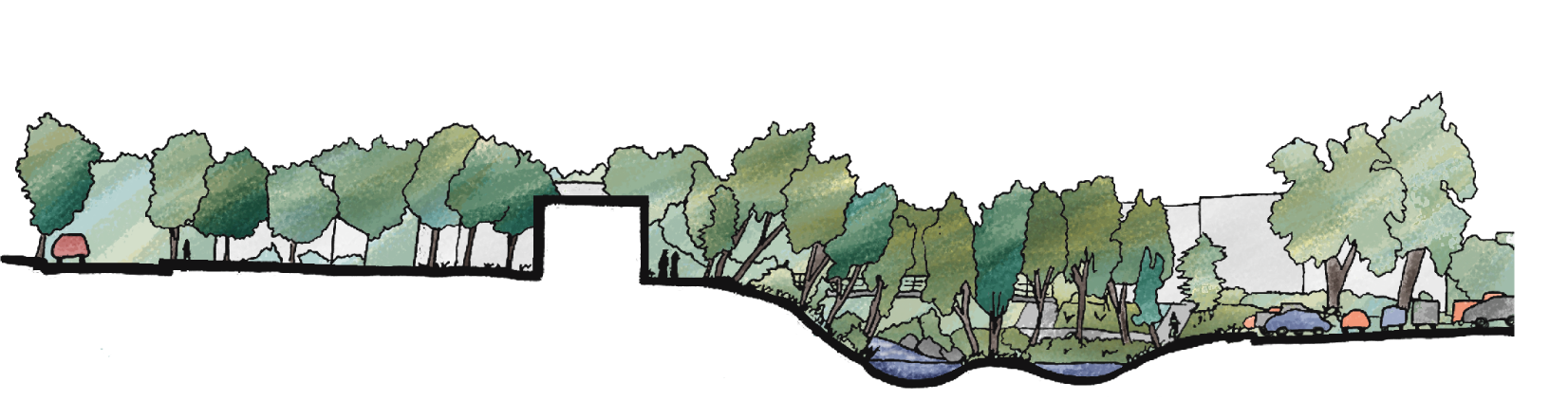 Illustration of a section view of trees and a creek. 