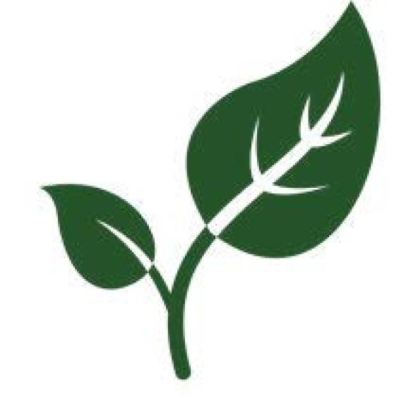 Environmentally Sustainable