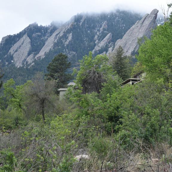 Blue Flatiron Mountains with a foggy sky and green trees around.