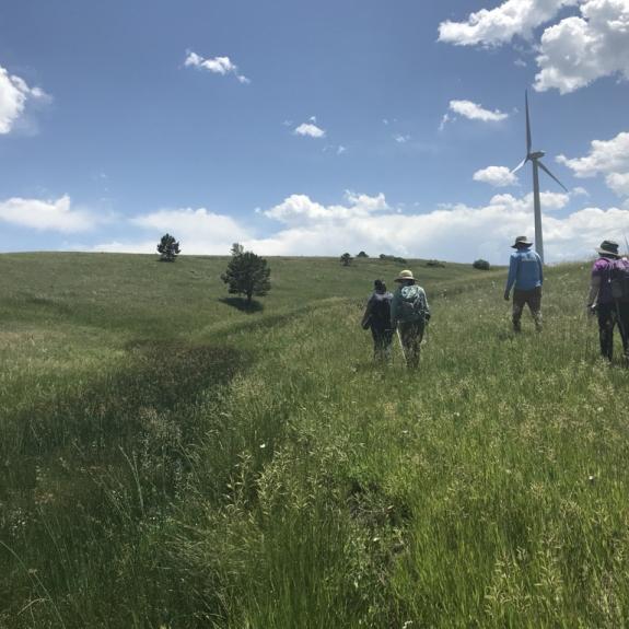 Four people walk through a tall grass field.