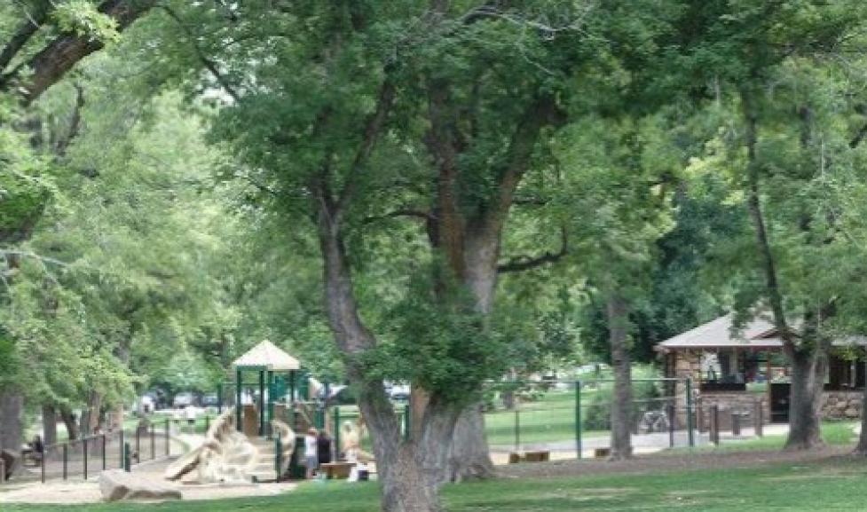 big tree and playground and park stone shelter