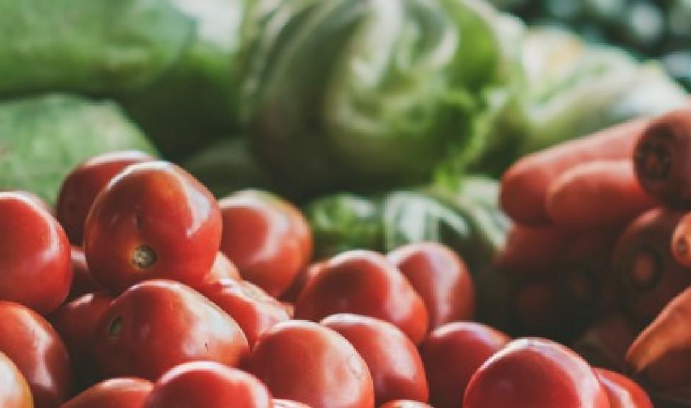 Food Tax Rebate Program | City of Boulder