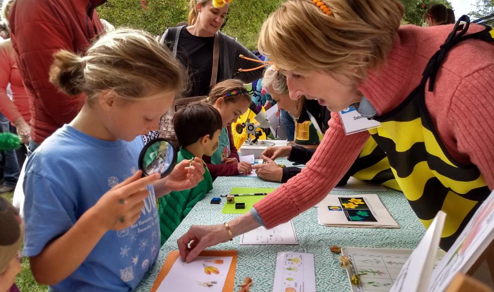 Bee Boulder Festival - learning about flower parts