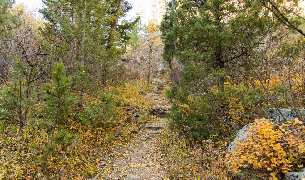 Bear Canyon City of Boulder