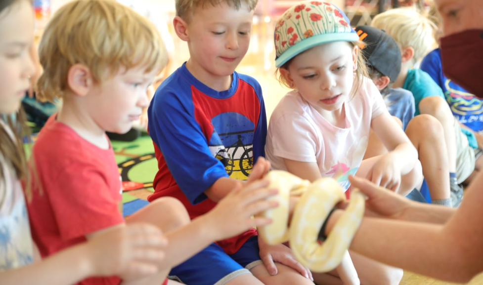 Kids learning about snakes at camp