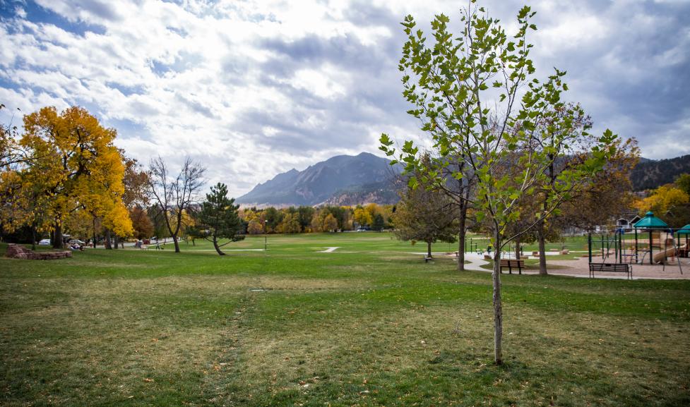 North Boulder Park with a young tree in the foreground