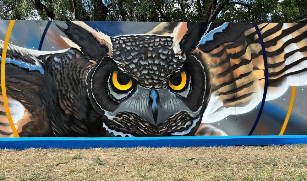 Mural of an owl in flight