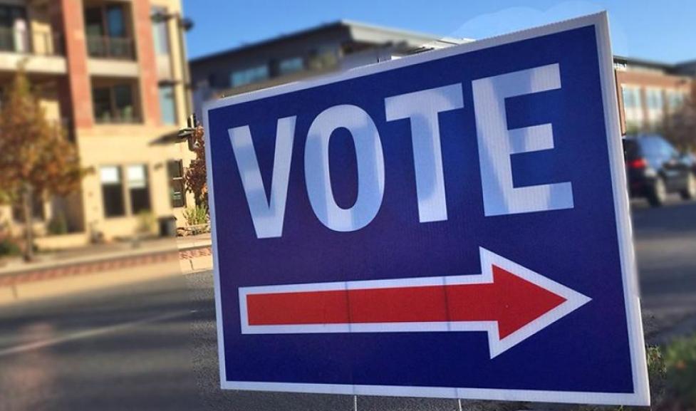 Vote sign