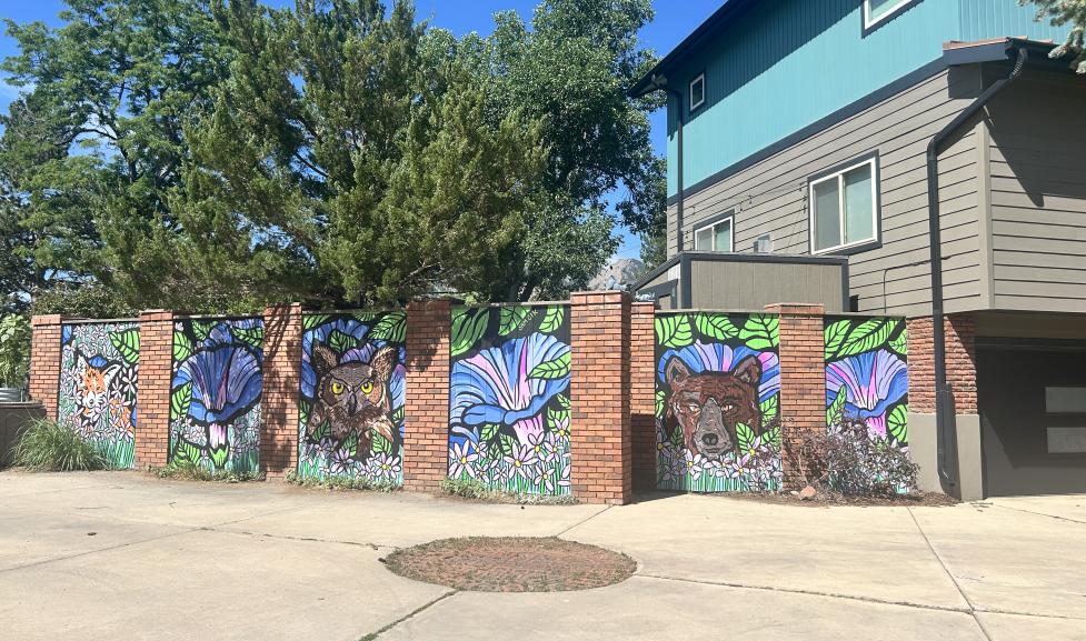 Colorful mural painted on the side of a fence