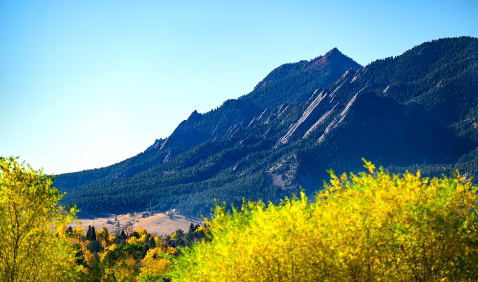 Flatirons behind the trees