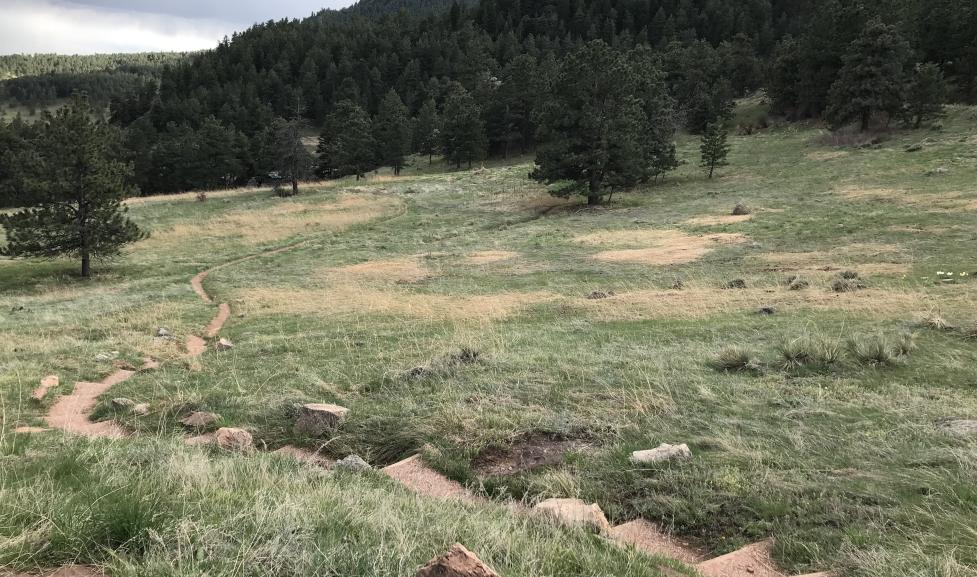 A narrow dirt trail leads through a meadow to the Halfway House restroom