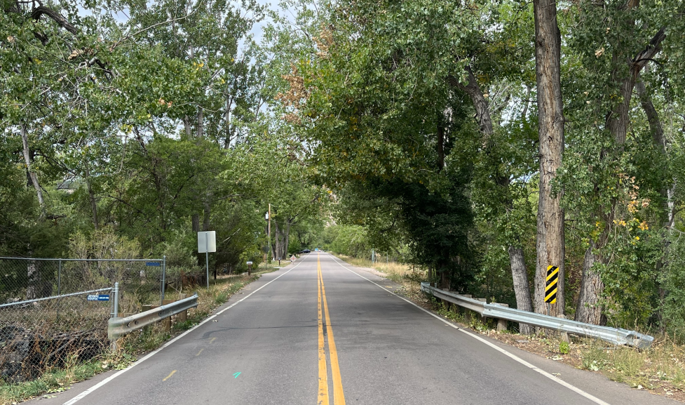 faded paved road between trees with roadway fencing