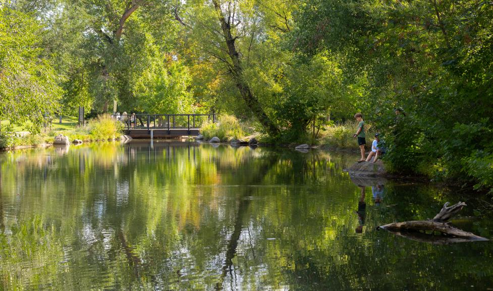 Evert Kids' Fishing Pond surrounded by trees 