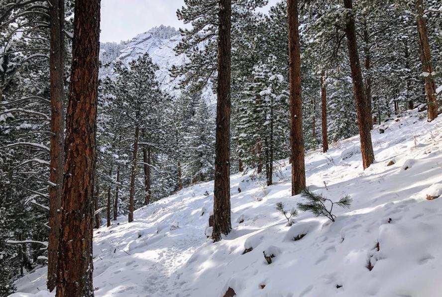 Mesa Trail en invierno