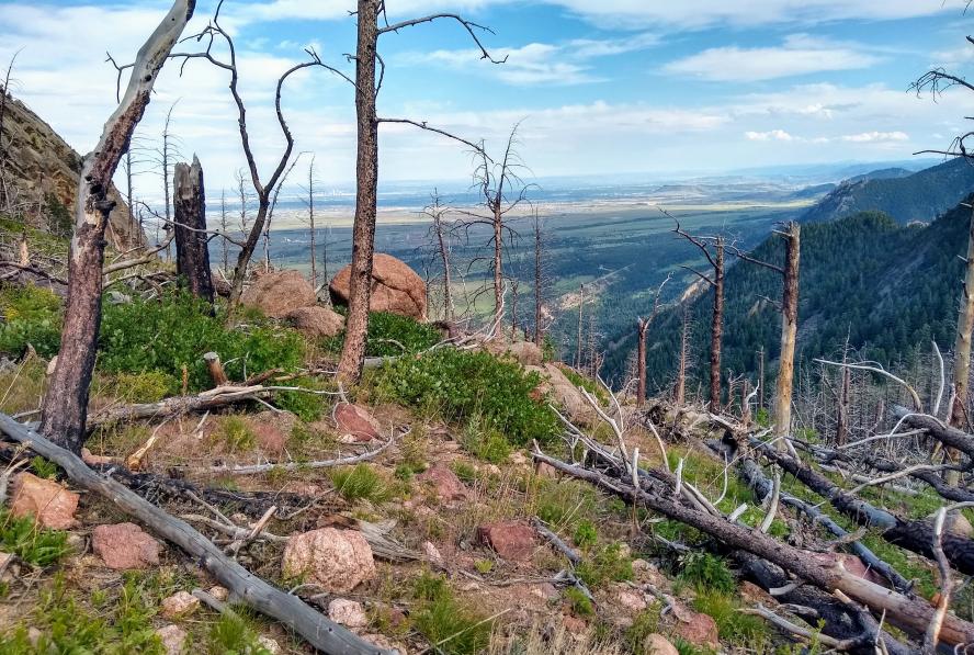 South Boulder Peak Trail