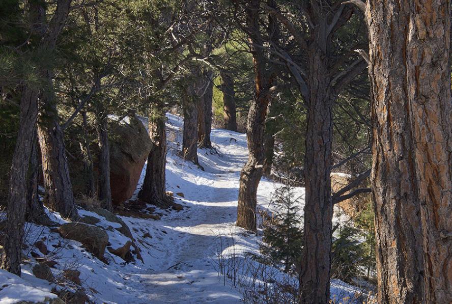 Icy Mesa Trail in Winter