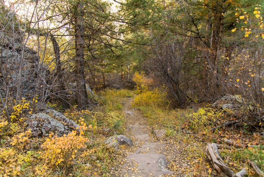 Bear Canyon Trail in Autumn