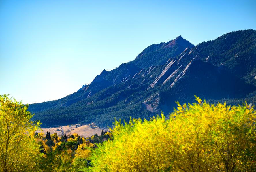 Flatirons behind the trees