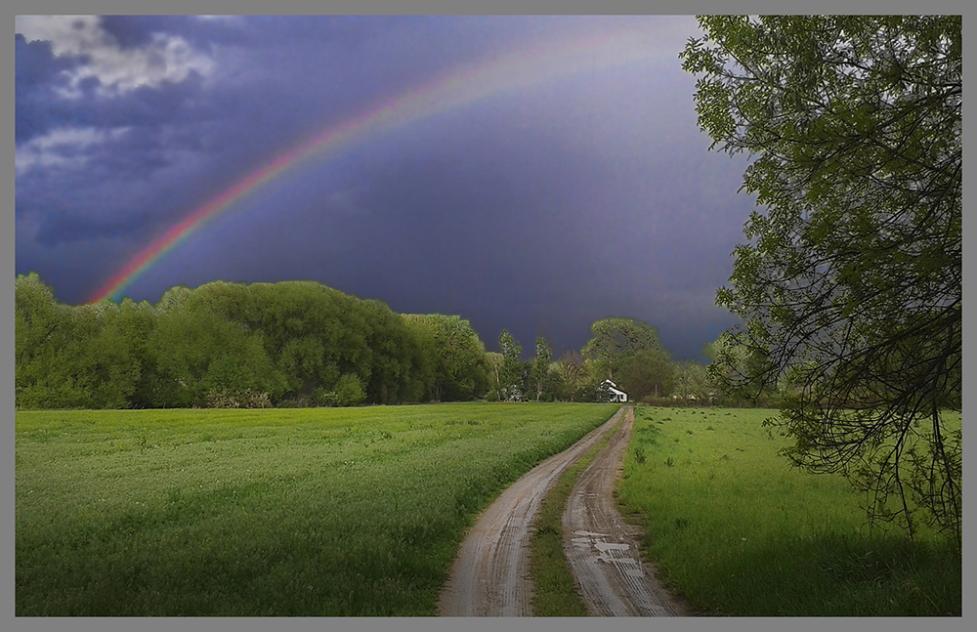 Rainbow over Cottonwood Trail