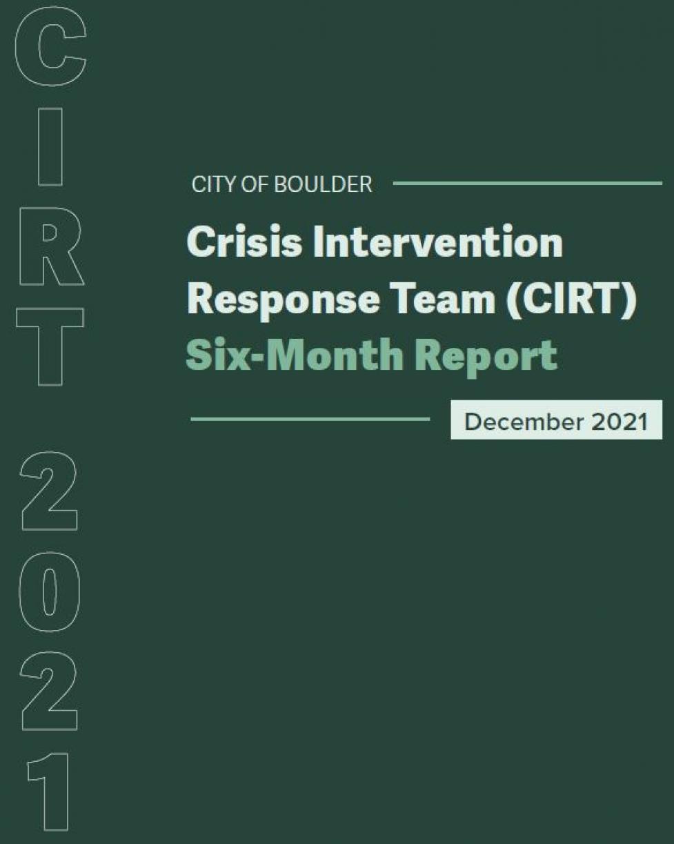 CIRT Six Month Report Cover