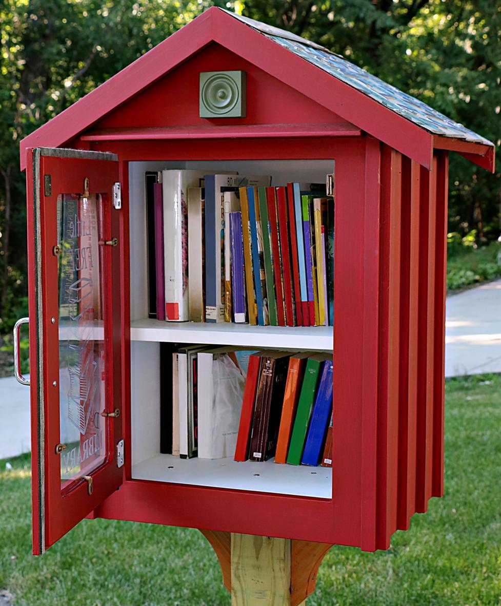 Neighborhood library box