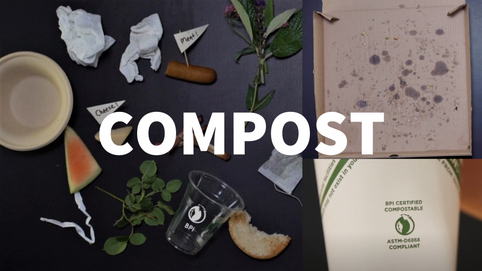 Food scraps, BPI cups, greasy pizza box and other compostable items