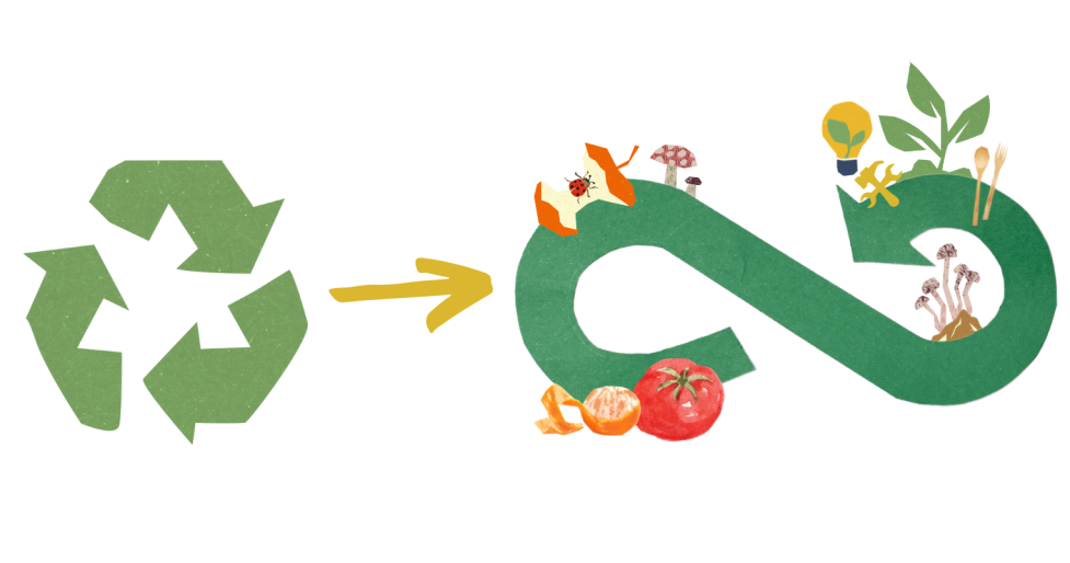 Arrow pointing from recycling to circularity