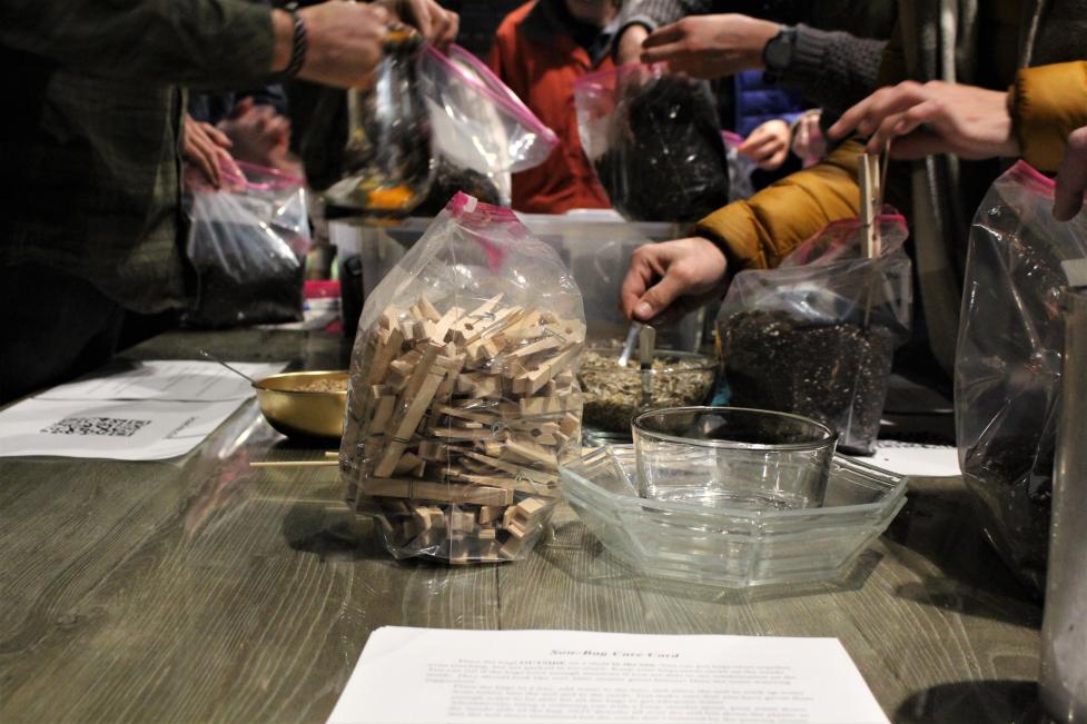 Event attendees start native seeds in sow-bags