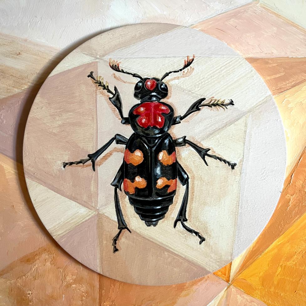 Painting of an American Burying Beetle