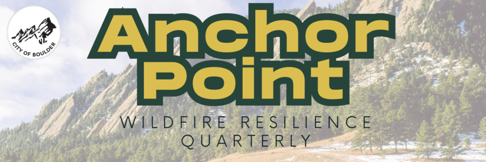 Anchor Point Newsletter decorative graphic