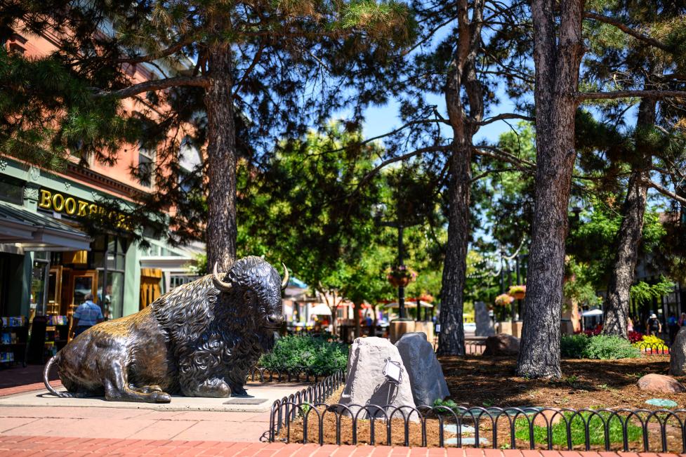 Bronze buffalo sculpture