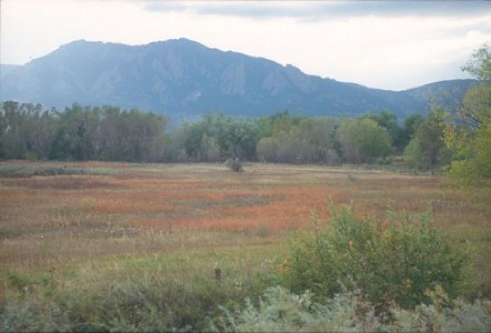 Red and green grasslands with blue flatiron mountains in the background.