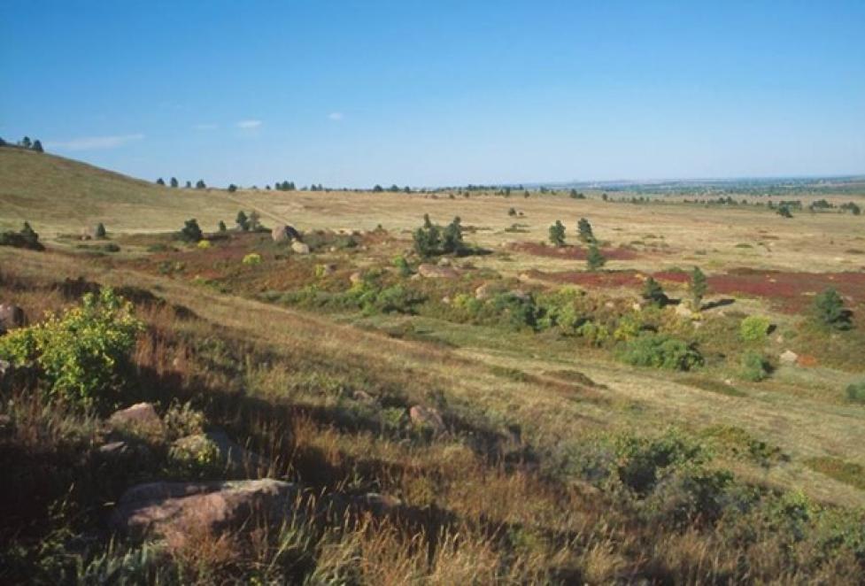 green and brown grassland against a bright blue sky