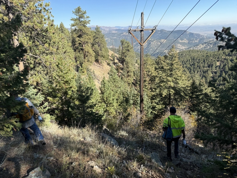Staff on Tram Hill beneath powerlines surrounded by evergreen trees on steep mountainside