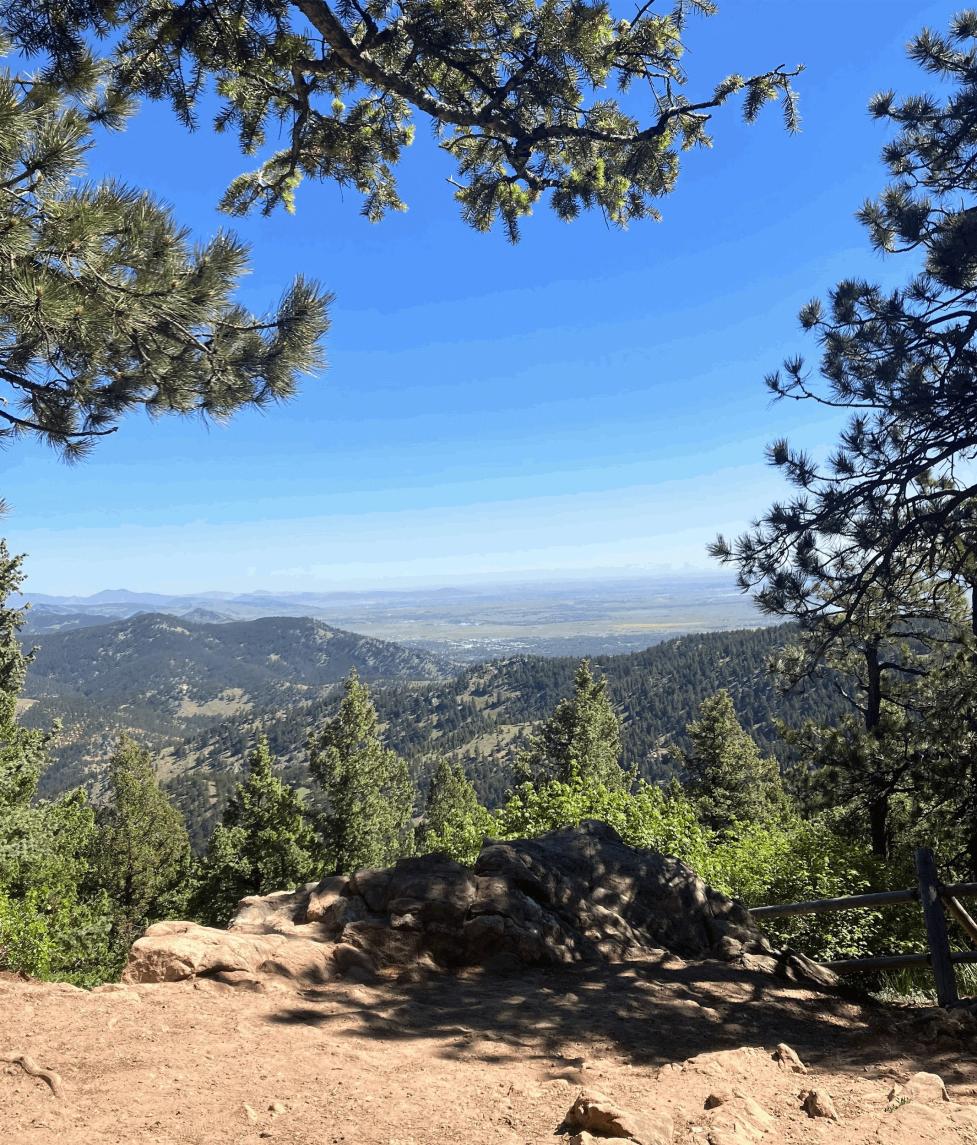 Boulder OSMP lookout view through trees toward wooded mountains with snowy peaks beyond.