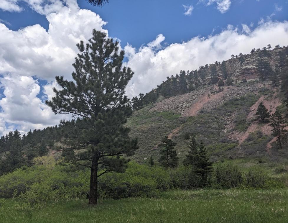 A large rocky outcrop in Boulder OSMP rises behind a flat green field with scattered conifers.