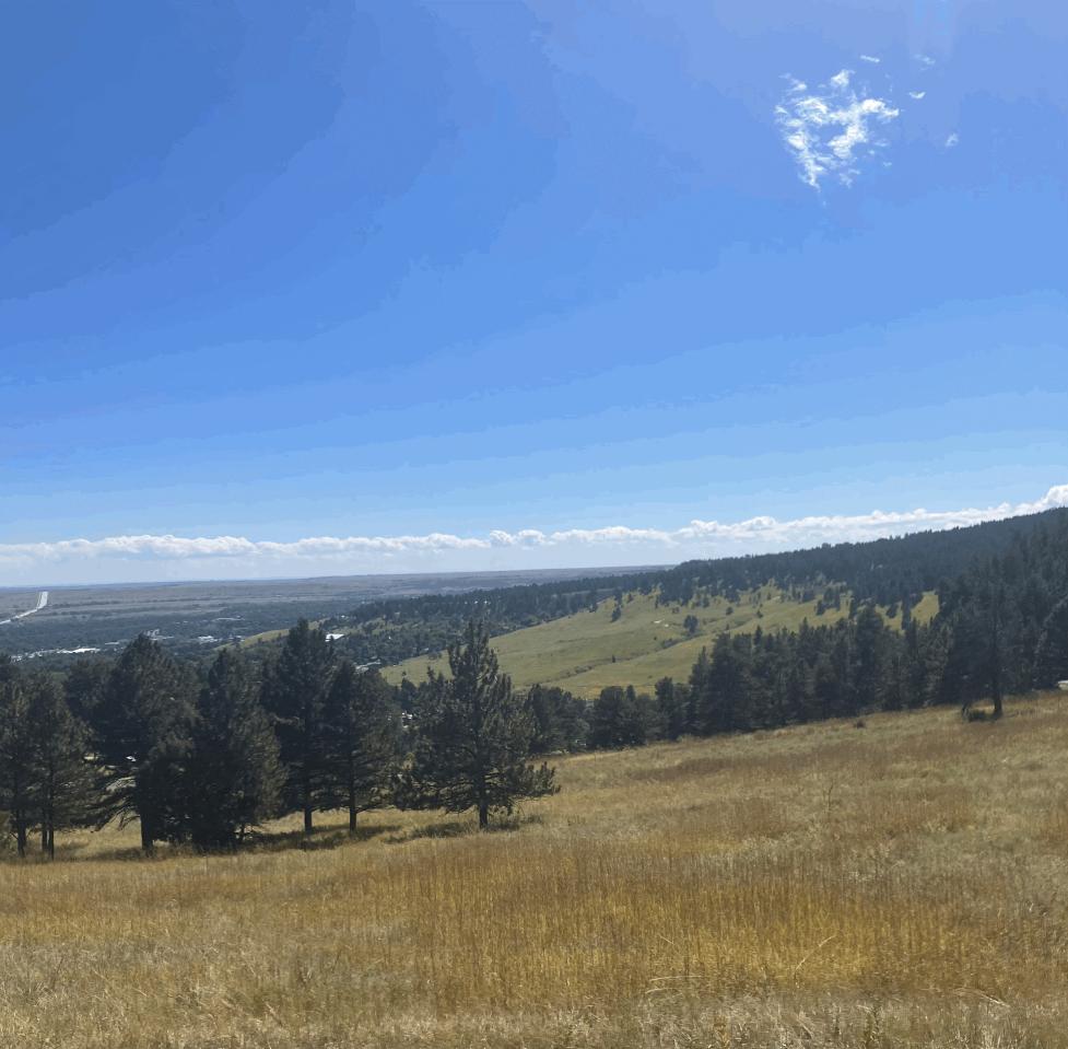 Sloping green hills with scattered conifers under a partly cloudy blue sky in Boulder OSMP.