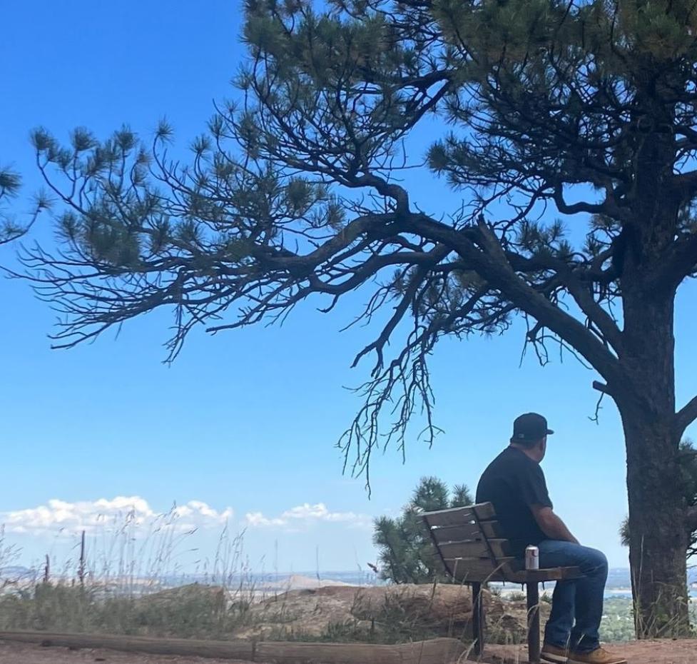 Mr. Benjamin Young sits on a bench under a tree, facing away as he looks out over green mountains.